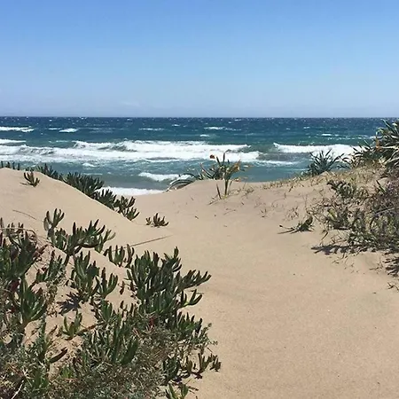 דירה Fantastic In First Line Beach